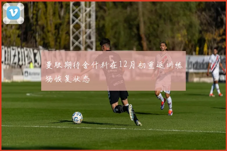 曼联期待舍什科在12月初重返训练场恢复状态