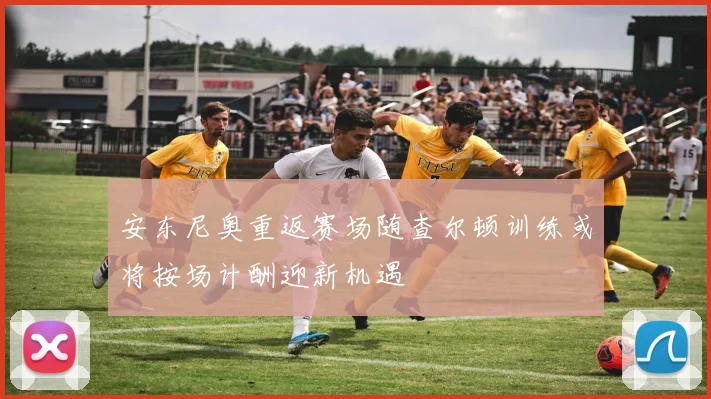 安东尼奥重返赛场随查尔顿训练或将按场计酬迎新机遇