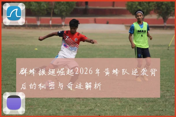 群蜂振翅崛起2026年黄蜂队逆袭背后的秘密与奇迹解析