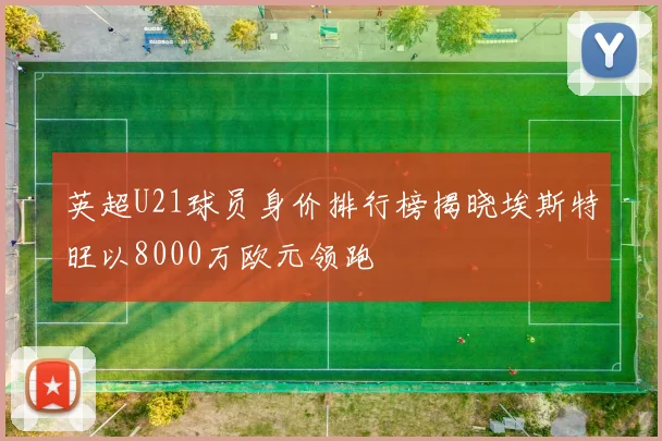 英超U21球员身价排行榜揭晓埃斯特旺以8000万欧元领跑