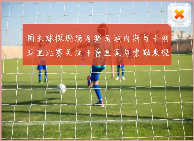 国米球探现场考察乌迪内斯与卡利亚里比赛关注卡普里莱与索勒表现