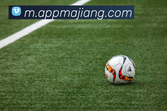 麻将胡了平台生态图